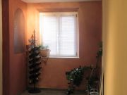 sumpfkalk-fenster